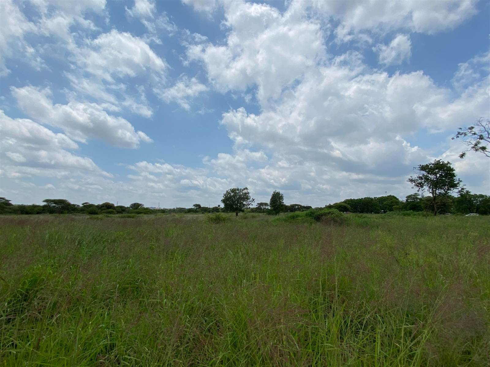 363 m² Land available in Polokwane Central photo number 3