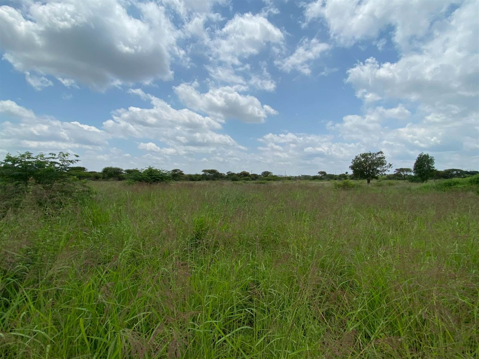 363 m² Land available in Polokwane Central photo number 1