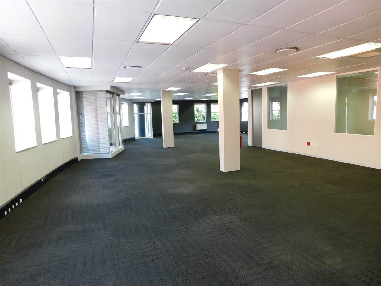 315  m² Commercial space in Illovo photo number 20
