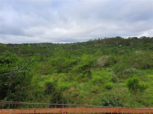 4287 m² Land available in Bathurst and Surrounds