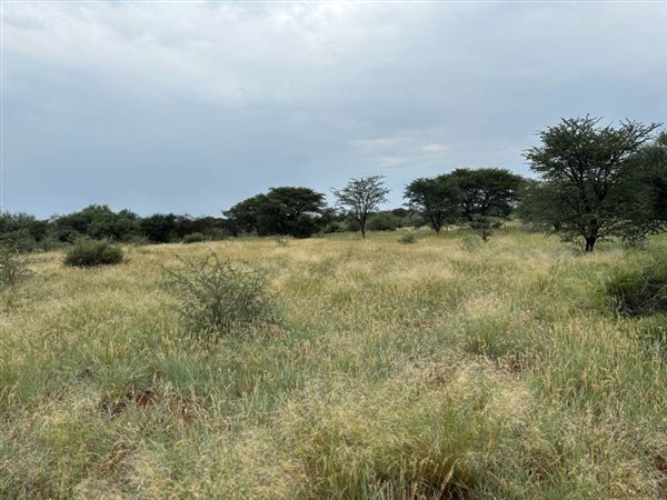 49.2 ha Land