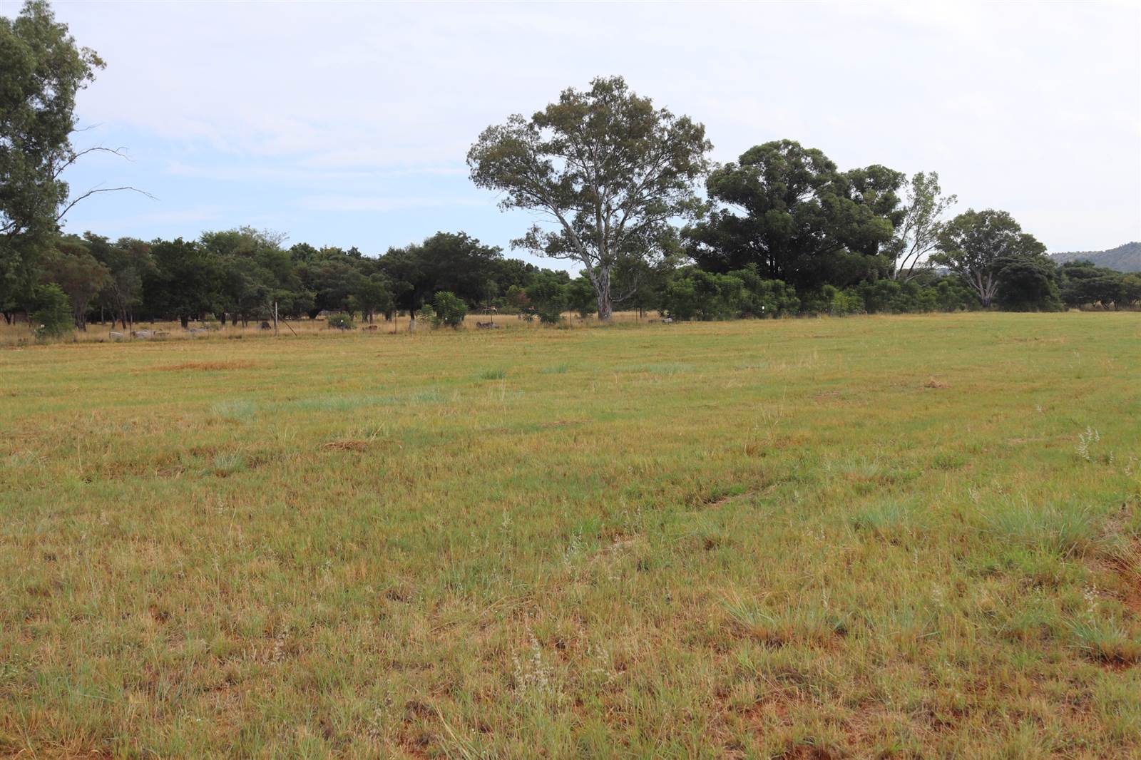 12 ha Farm in Rustenburg Central photo number 22