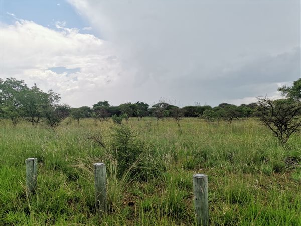 9 479 m² Land