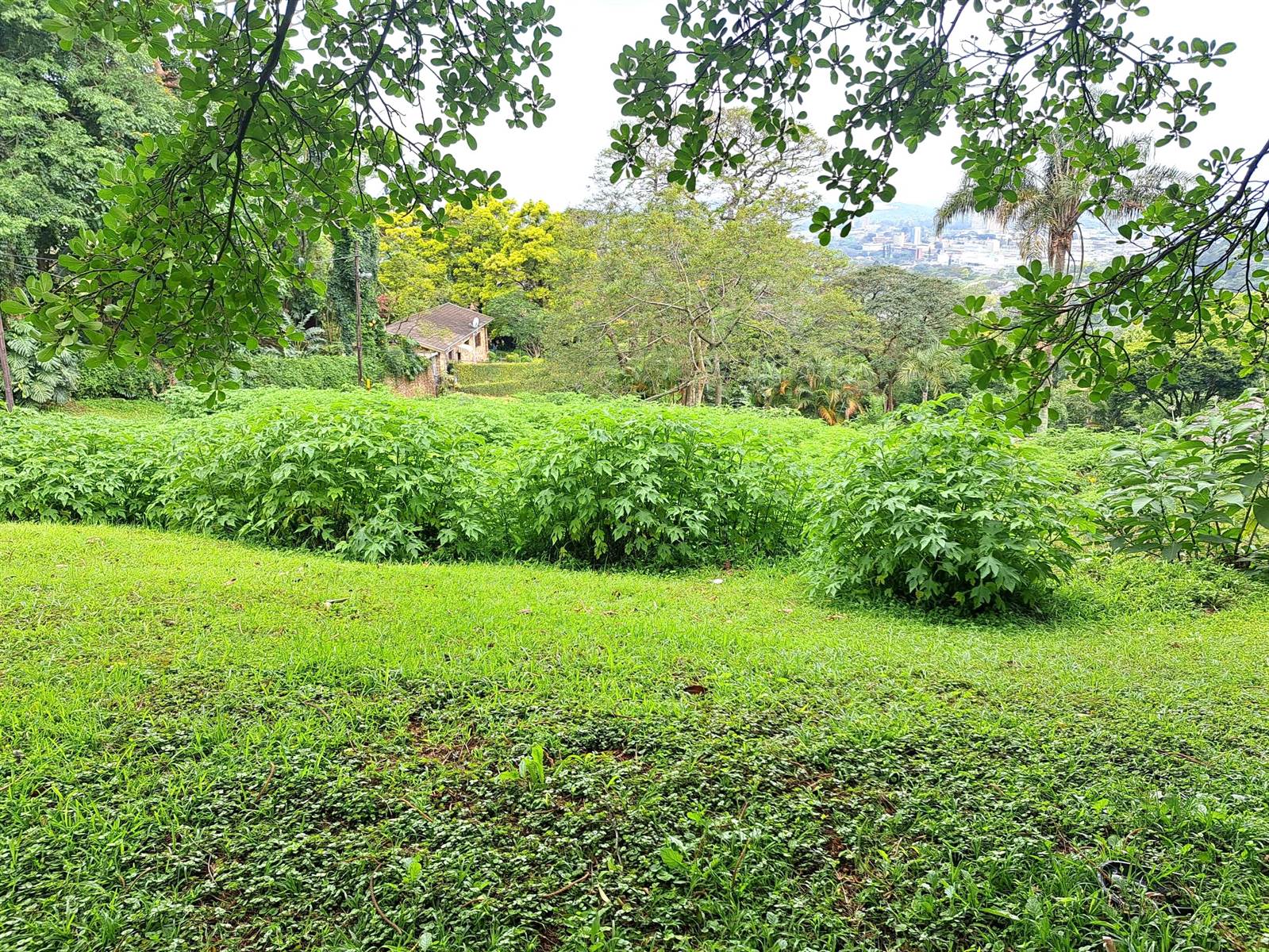 2311 m² Land available in Kloof photo number 12