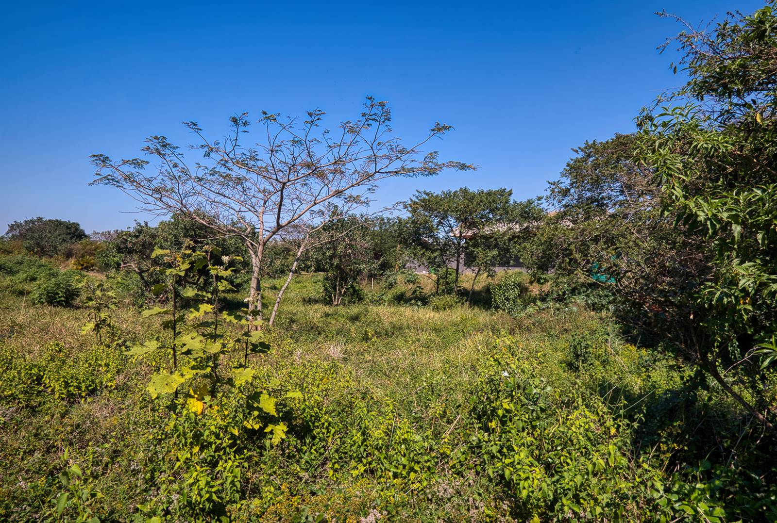970 m² Land available in Elaleni Coastal Forest Estate photo number 6