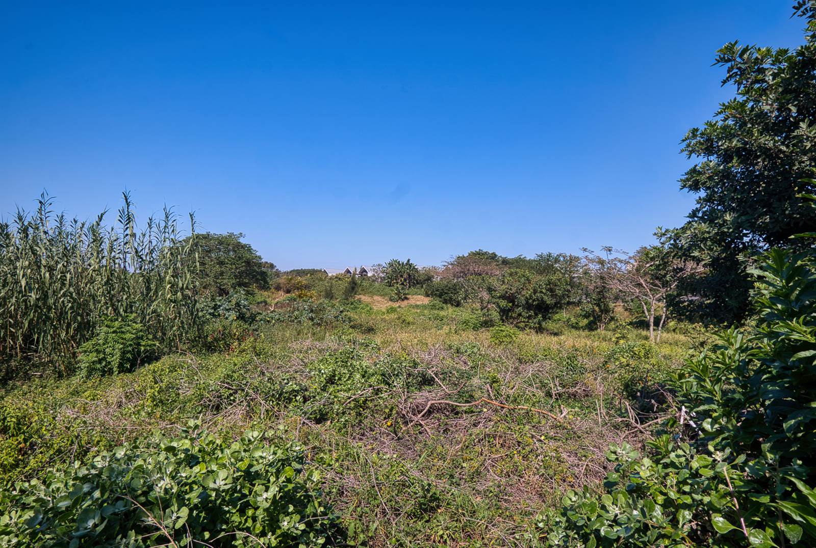 970 m² Land available in Elaleni Coastal Forest Estate photo number 1