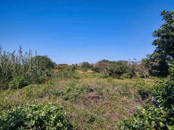 970 m² Land available in Elaleni Coastal Forest Estate