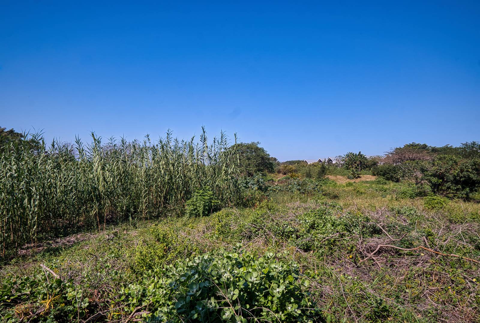 970 m² Land available in Elaleni Coastal Forest Estate photo number 2