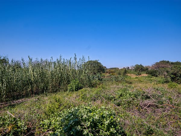 970 m² Land