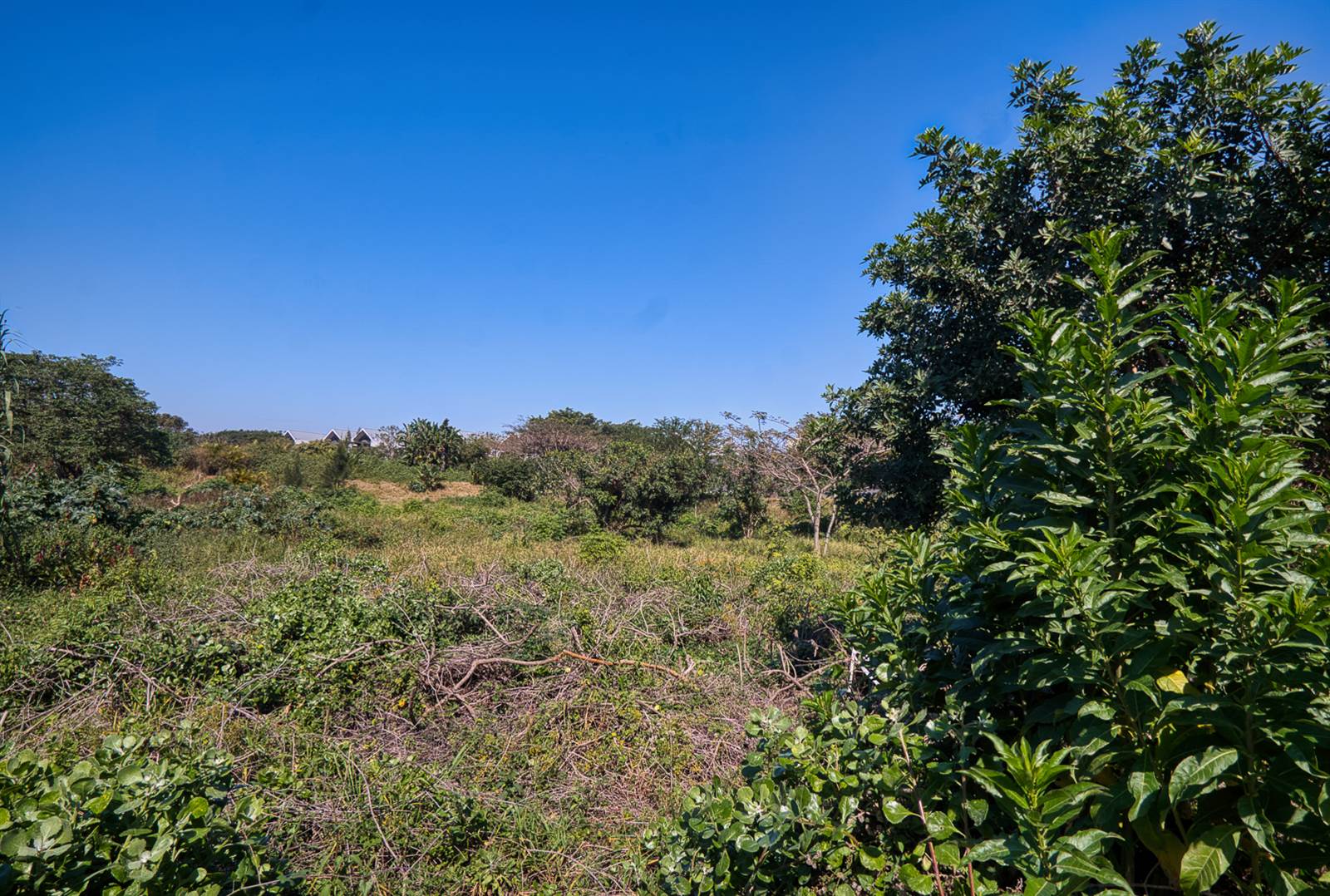 970 m² Land available in Elaleni Coastal Forest Estate photo number 3