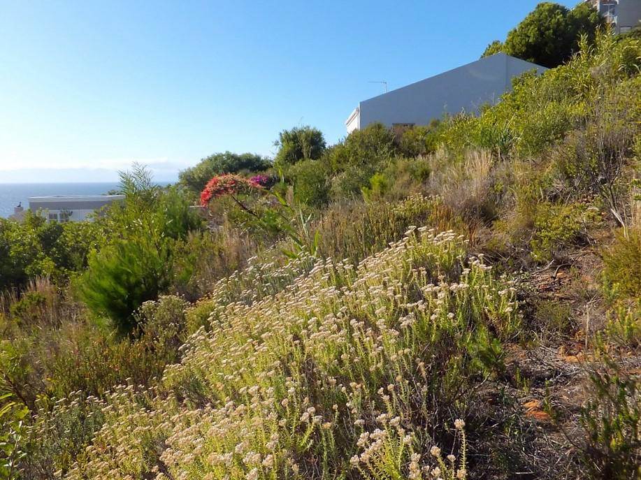 762 m² Land available in Simons Town photo number 10