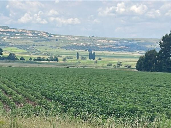 135 ha Farm in Ladybrand