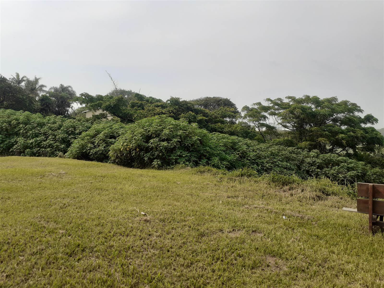 1624 m² Land available in Winklespruit photo number 5