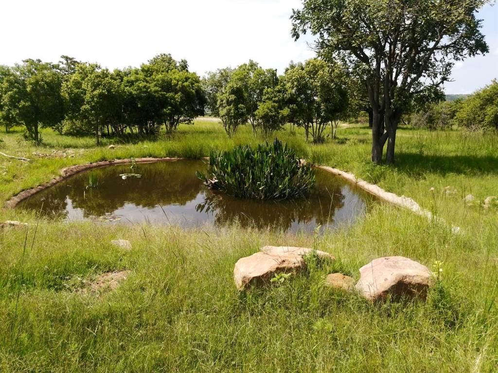 7017 m² Land available in Bela-Bela (Warmbaths) photo number 11