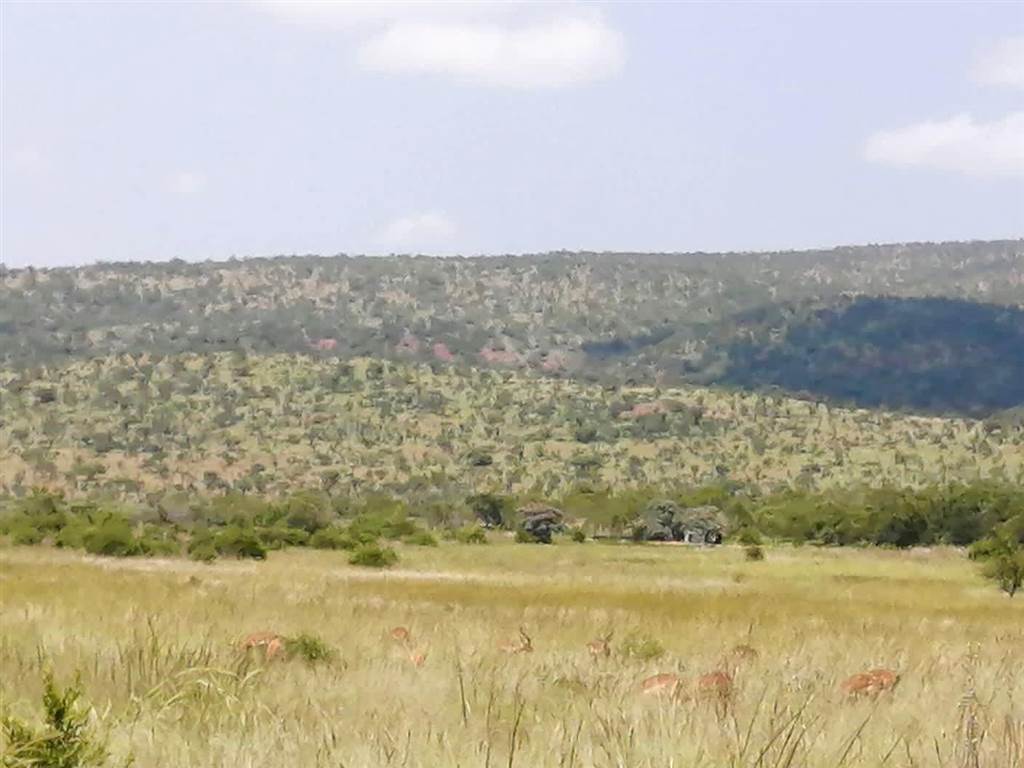 7017 m² Land available in Bela-Bela (Warmbaths) photo number 2