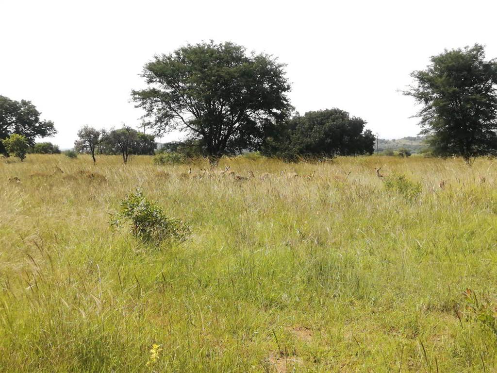 7017 m² Land available in Bela-Bela (Warmbaths) photo number 9
