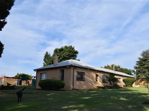 1.7 ha Smallholding in Hallgate