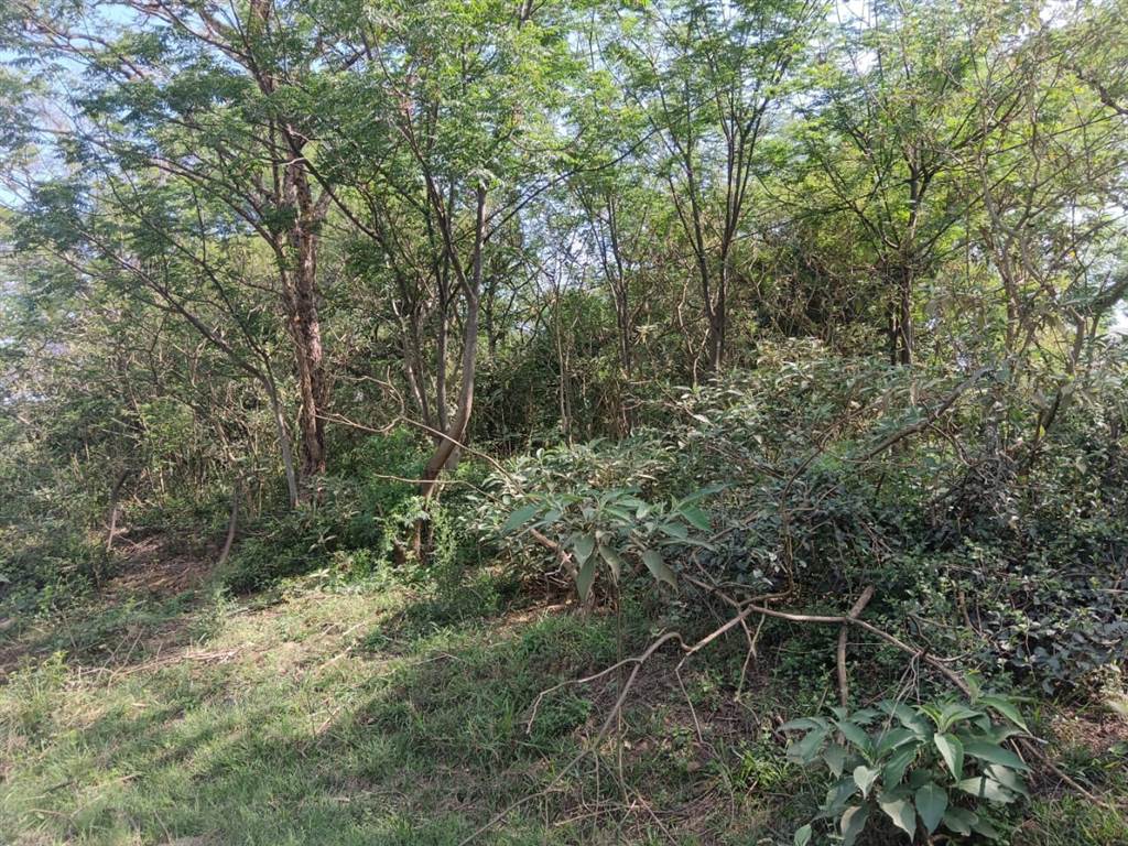 1896 m² Land available in Albert Falls photo number 3