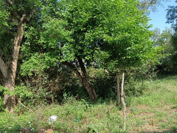 1896 m² Land available in Albert Falls