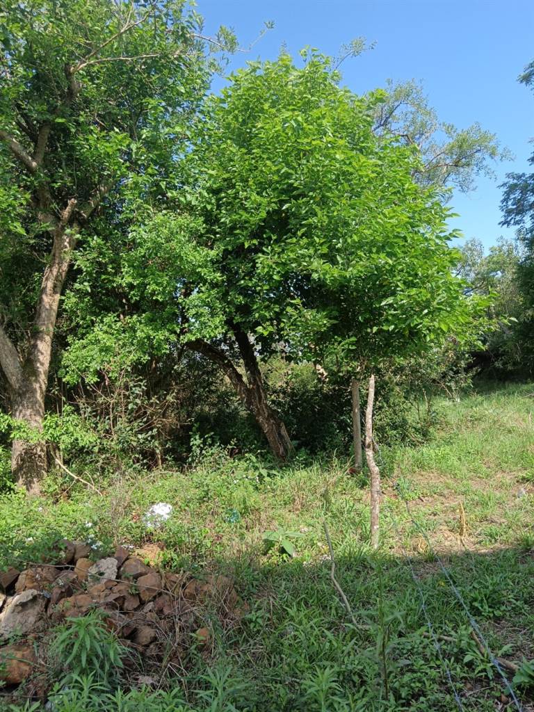 1896 m² Land available in Albert Falls photo number 1