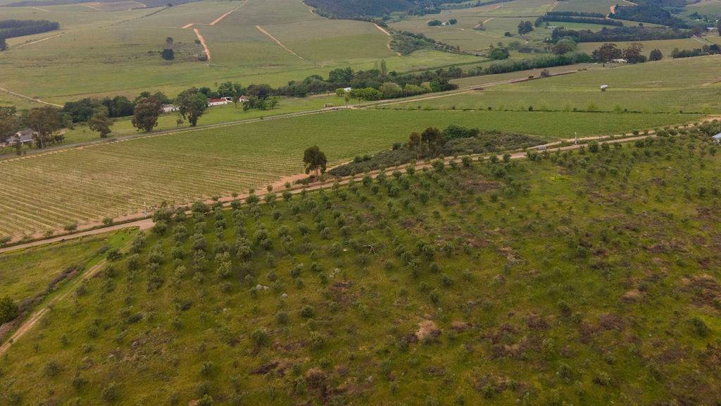 4 ha Land available in Stellenbosch Agricultural photo number 9