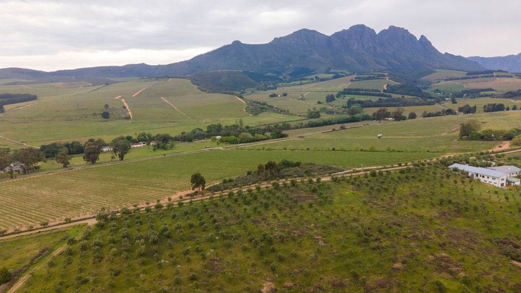 4 ha Land available in Stellenbosch Agricultural photo number 4