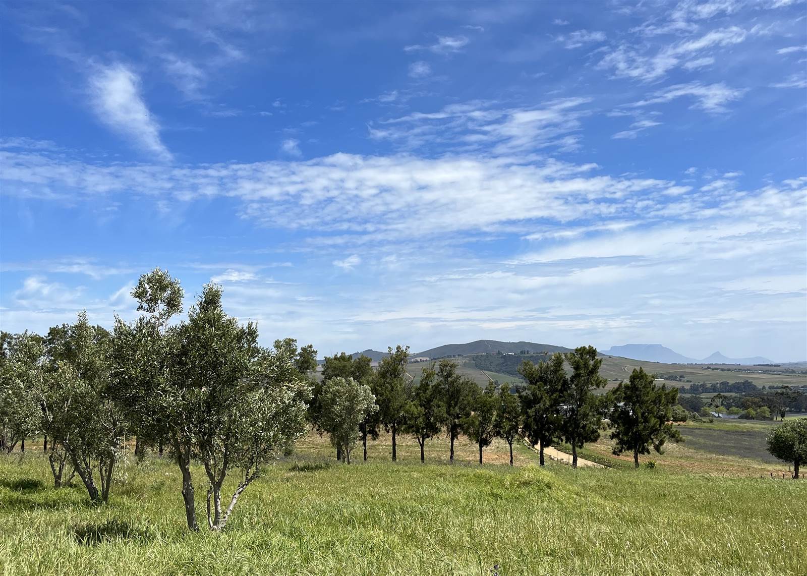 4 ha Land available in Stellenbosch Agricultural photo number 7