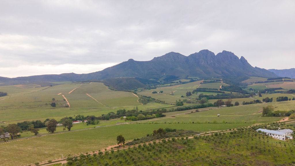 4 ha Land available in Stellenbosch Agricultural photo number 5
