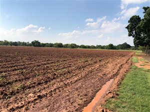 9 ha Farm in Strydfontein and surrounds