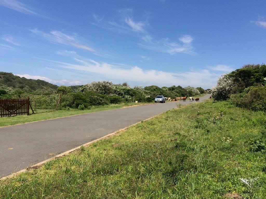 816 m² Land available in Cintsa photo number 5