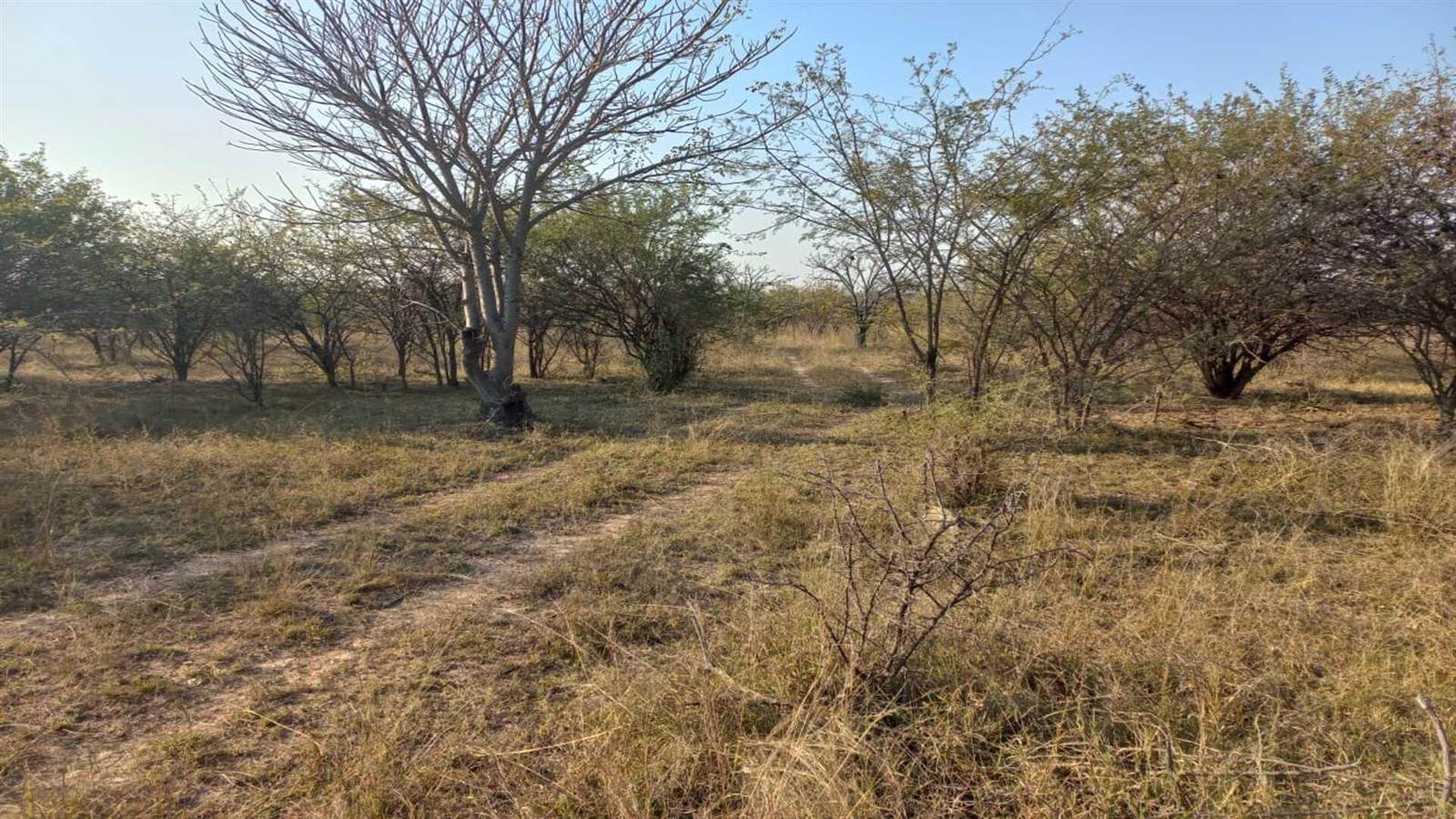 10.4 ha Land available in Siyabuswa photo number 10
