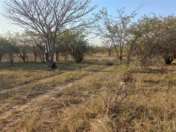 10.4 ha Land available in Siyabuswa