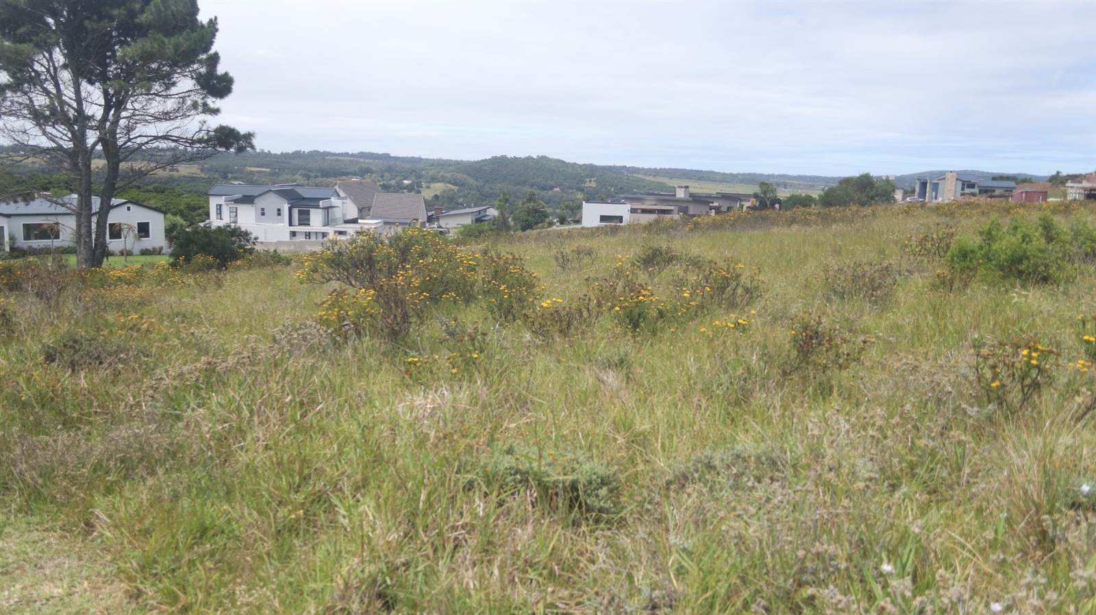 1476 m² Land available in Colleen Glen photo number 18