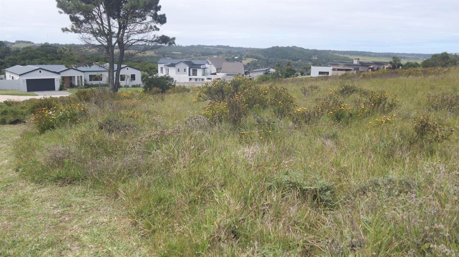 1476 m² Land available in Colleen Glen photo number 14