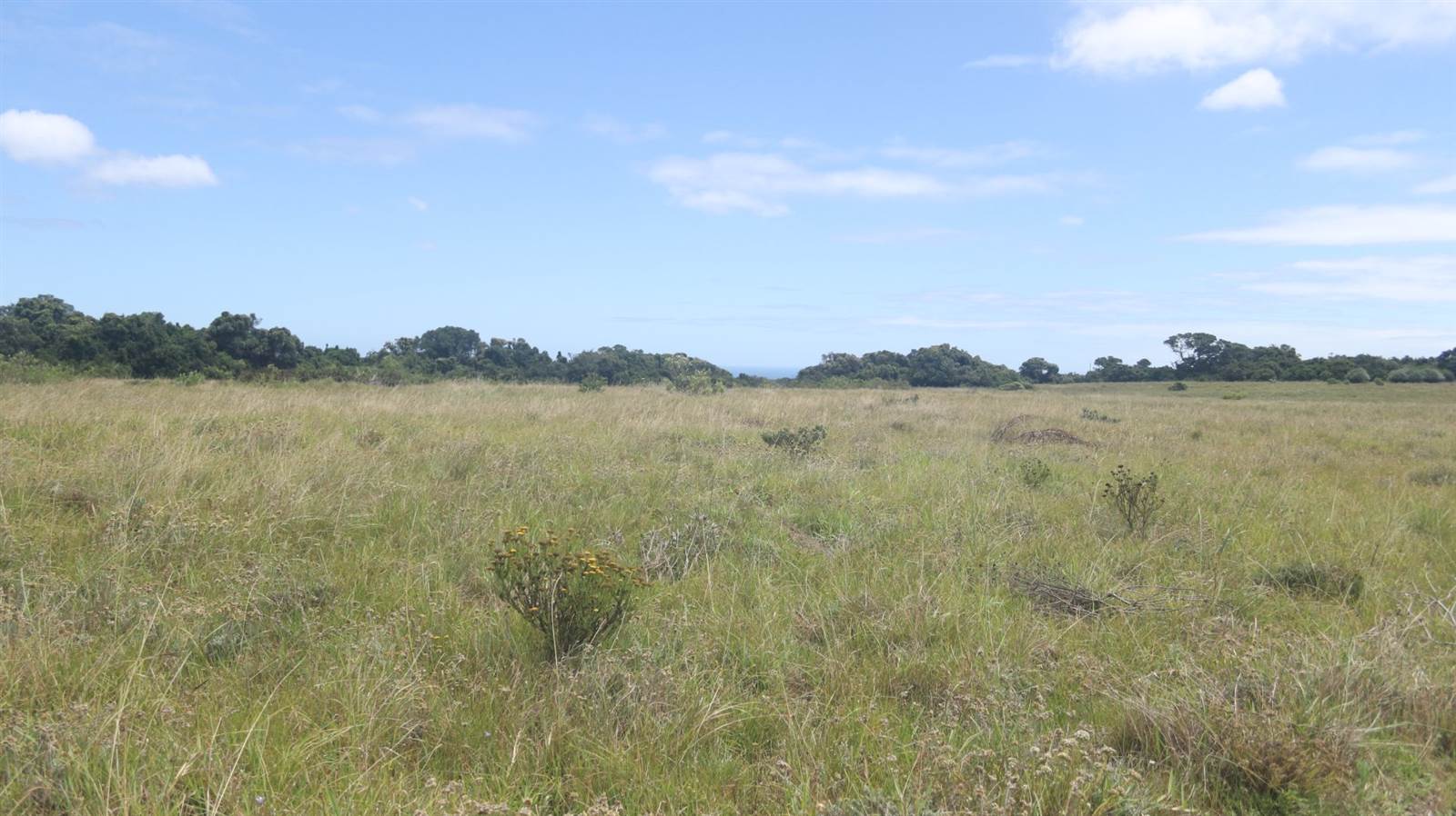 1476 m² Land available in Colleen Glen photo number 21