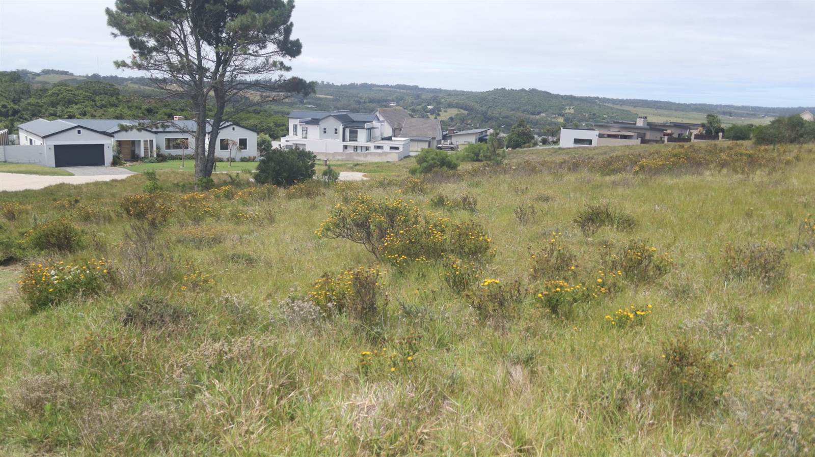1476 m² Land available in Colleen Glen photo number 25