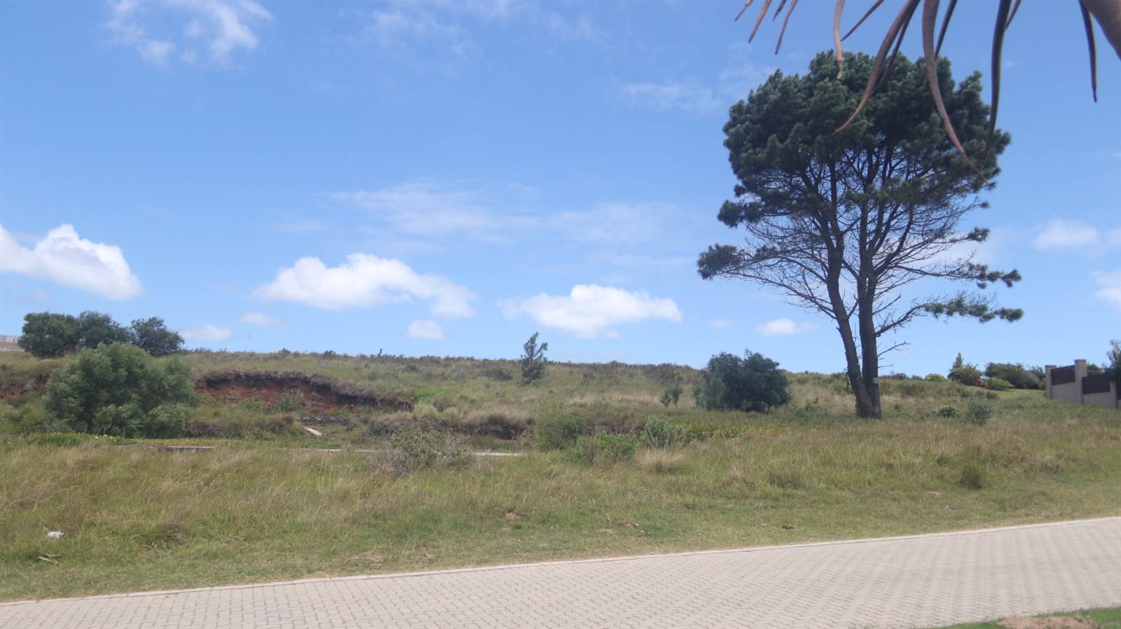 1476 m² Land available in Colleen Glen photo number 8