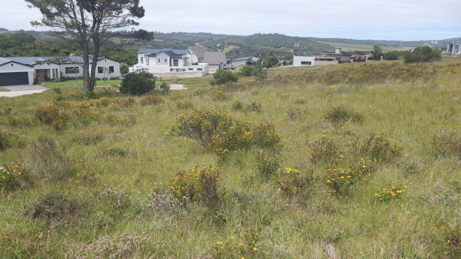 1476 m² Land available in Colleen Glen photo number 30
