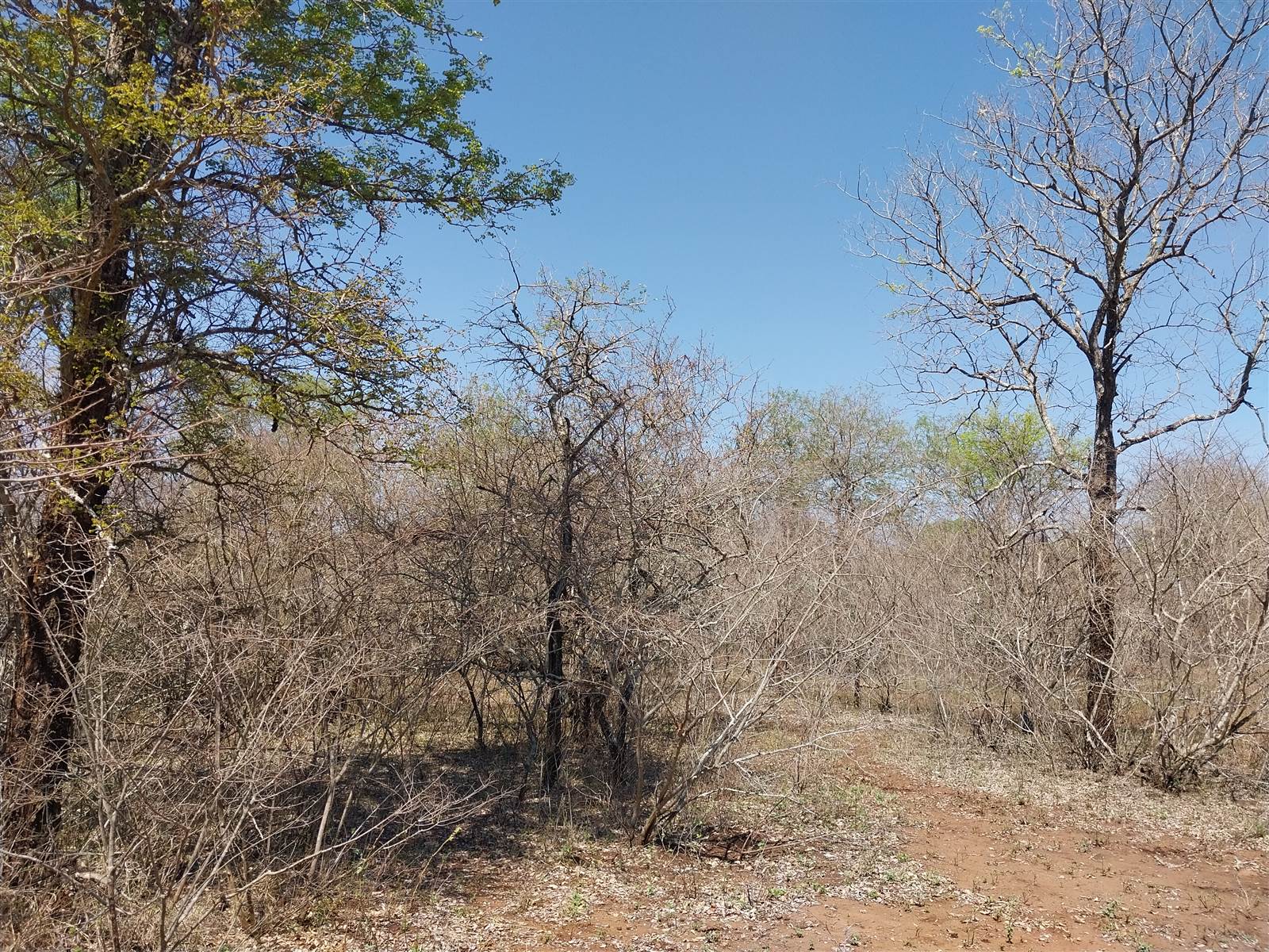 1950 m² Land available in Marloth Park photo number 2