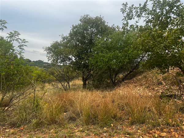 615 m² Land available in Seasons Lifestyle Estate