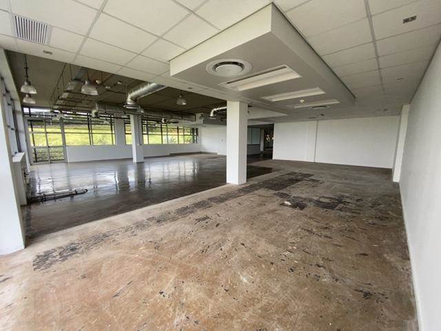 1727  m² Commercial space in Umhlanga Ridge photo number 6