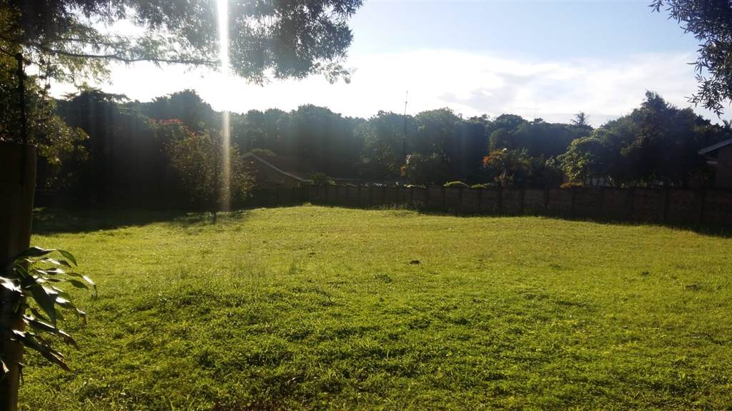 1232 m² Land available in Mtunzini photo number 7