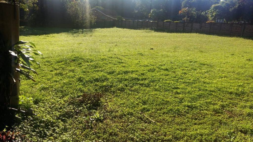 1232 m² Land available in Mtunzini photo number 8