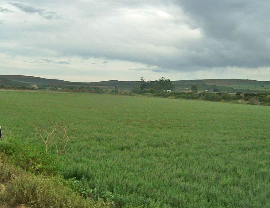 129 ha Farm in Mossel Bay Central photo number 6