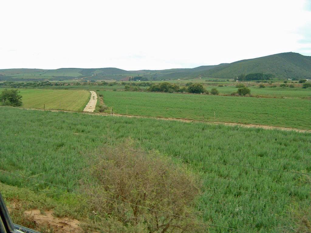 129 ha Farm in Mossel Bay Central photo number 1