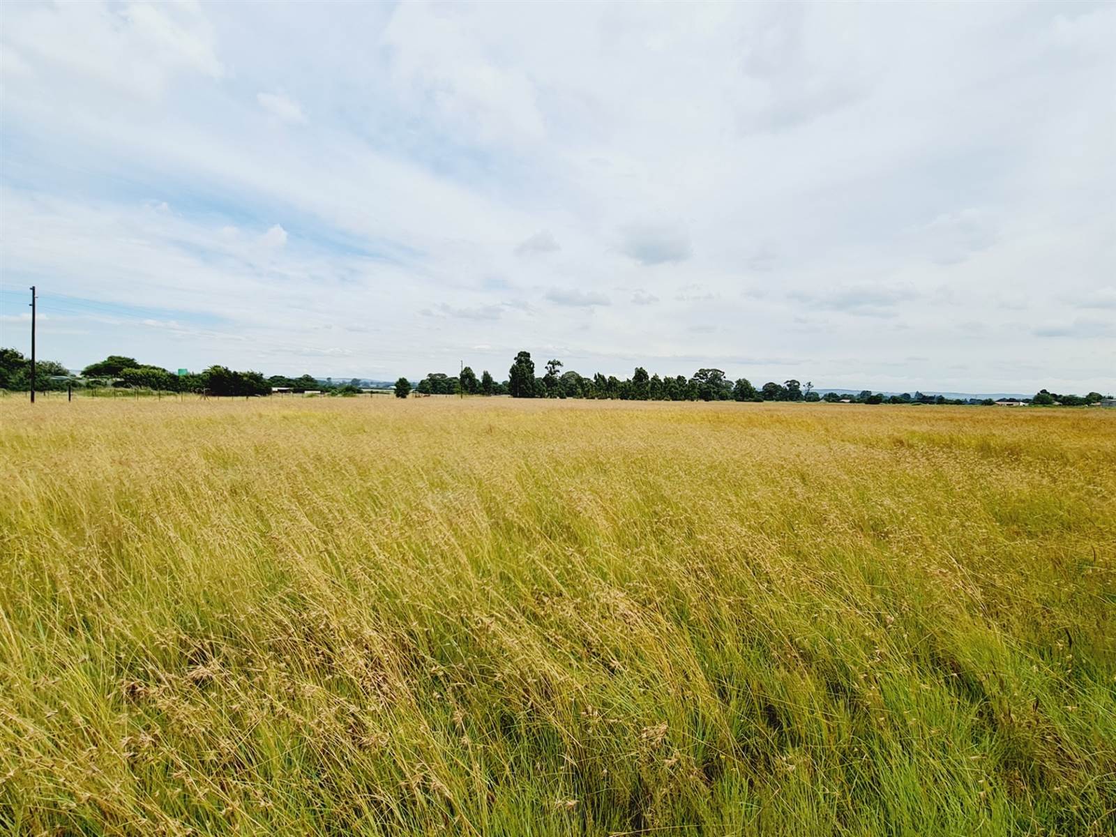 8.5 ha Land available in Tarlton photo number 9