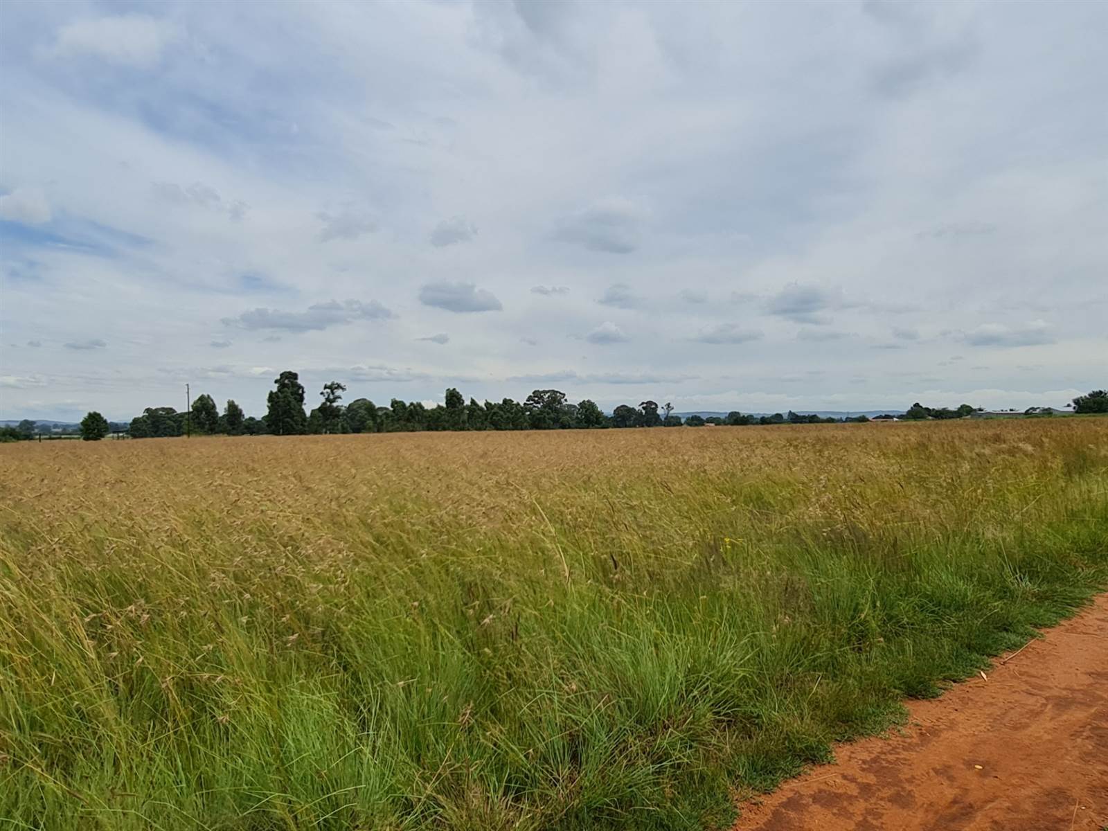8.5 ha Land available in Tarlton photo number 8