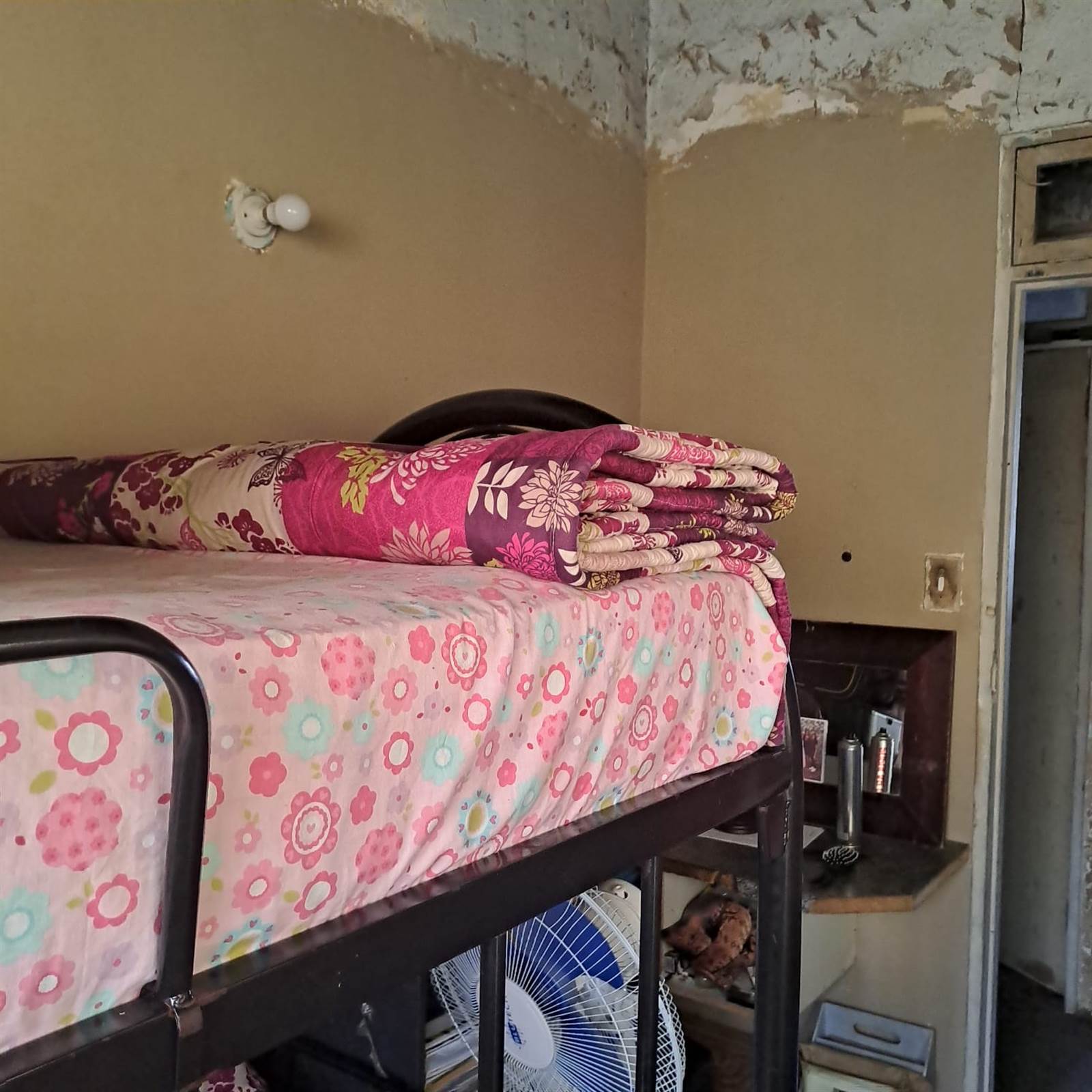 3 Bed Duplex in Clayfield photo number 15