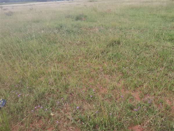 25 470 ha Land 25 470 ha Land