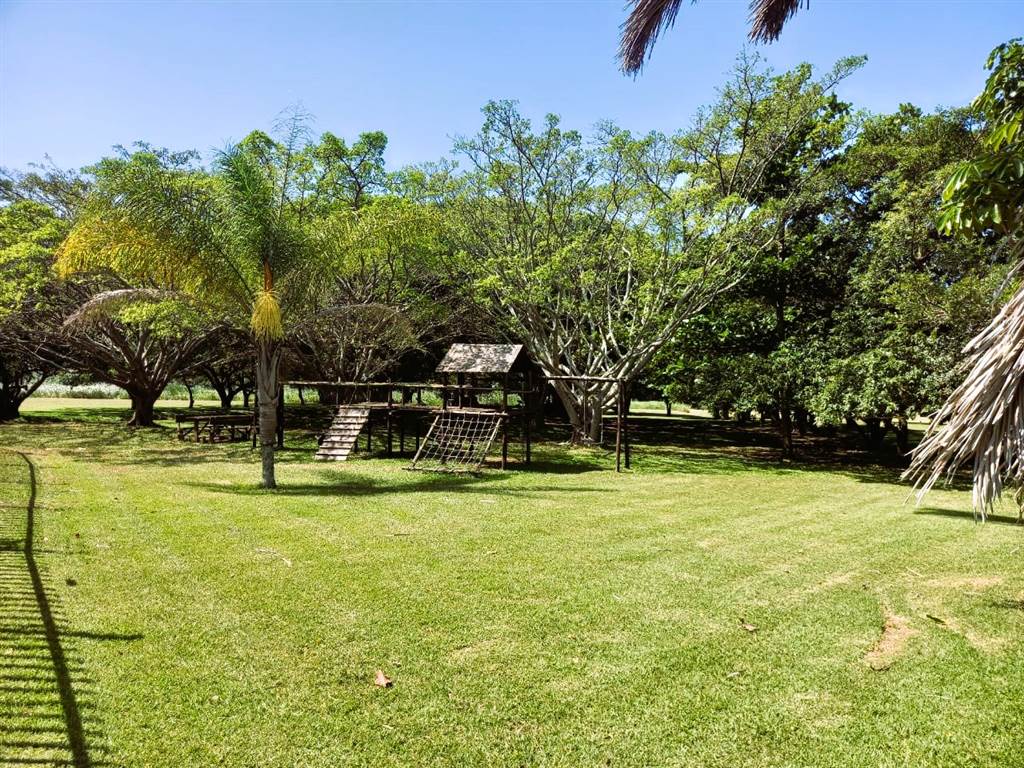 684 m² Land available in Shelly Beach photo number 19